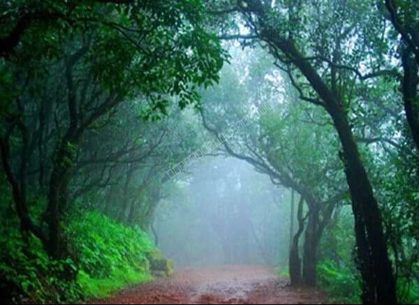 Celebration Land Foothills of Matheran – Premium Plots for Sale